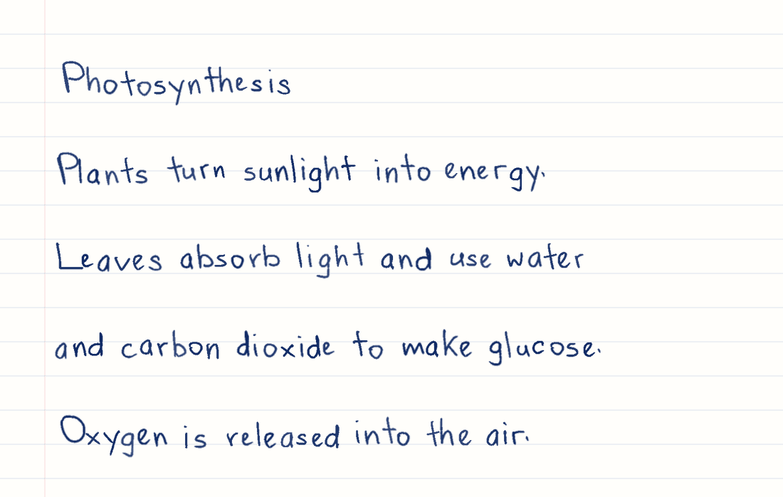 A complete handwritten study note explaining photosynthesis
